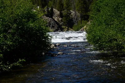 DSC_9913 (Large).JPG